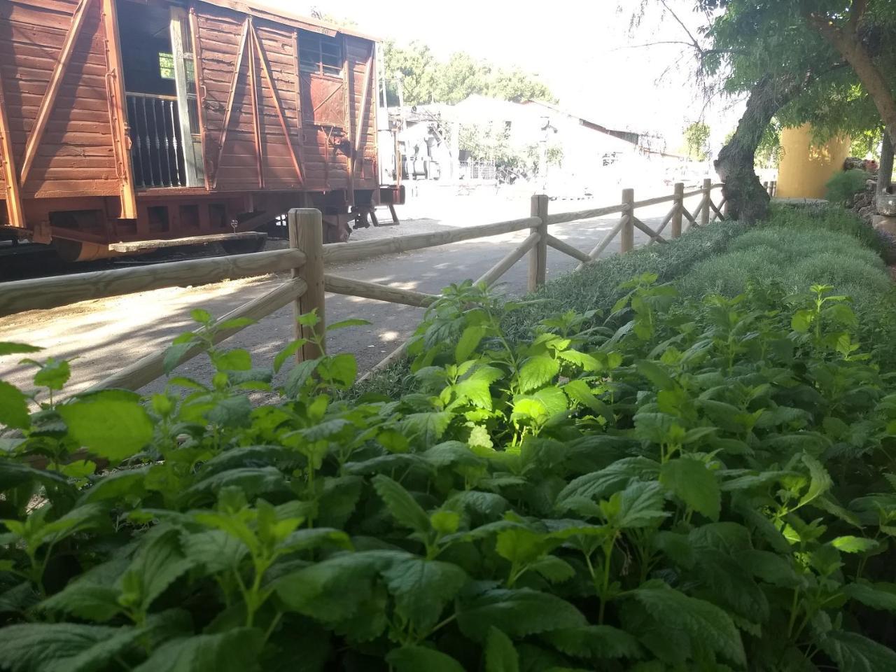 Hostal Nicol'S Hotel Luque Kültér fotó